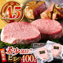 【ふるさと納税】【美食家も虜になる上質な部位】佐賀牛 A5 