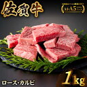 佐賀牛 はしっこちゃん ＜ロース カルビ＞ 計1kg（500g×2パック）佐賀牛 A5 A4 焼肉 カレー