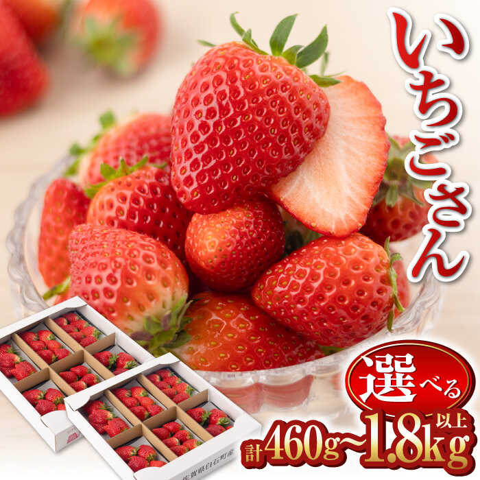 【ふるさと納税】【先行予約】産地直送！白石産 いちごさん 約150g×6パック（計900g以上）【道の駅しろいしカンパニー】イチゴ 苺 大容量 果物 フルーツ 佐賀県産 [IAA022]のサムネイル