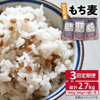 【全3回定期便】白石産 もち麦 900g（300g×3袋）/回（総計2.7kg）【道の駅しろいしカンパニー】モチ麦 もちむぎ 小分け 健康 雑穀米 雑穀 お米 [IAA034]