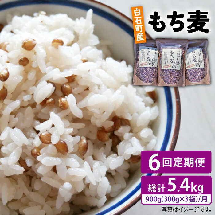 【ふるさと納税】【全6回定期便】白石産 もち麦 900g（300g×3袋）/回（総計5.4kg）【道の駅しろいしカンパニー】モチ麦 もちむぎ 小分け 健康 雑穀米 雑穀 お米 [IAA035]