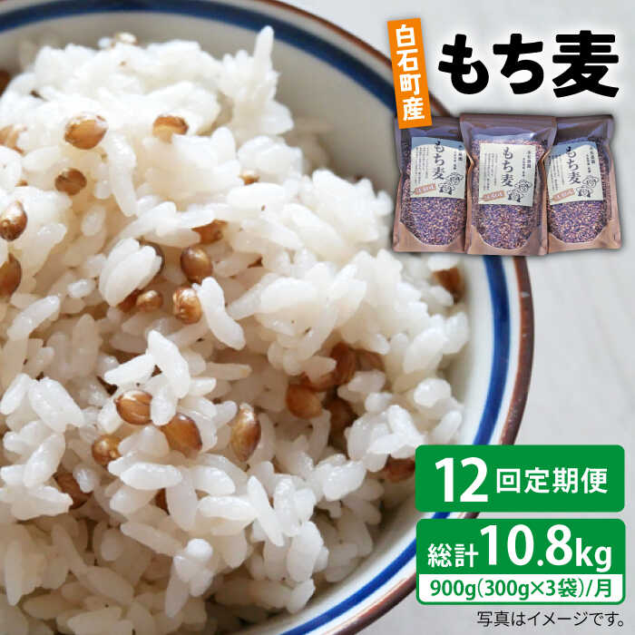 52位! 口コミ数「0件」評価「0」【全12回定期便】白石産 もち麦 900g（300g×3袋）/回（総計10.8kg）【道の駅しろいしカンパニー】モチ麦 もちむぎ 小分け 健･･･ 