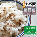 【ふるさと納税】【全12回定期便】白石産 もち麦 900g（300g×3袋）/回（総計10.8kg）【道の駅しろいしカンパニー】モチ麦 もちむぎ 小分け 健康 雑穀米 雑穀 お米 [IAA036]