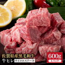 23位! 口コミ数「0件」評価「0」佐賀県産 黒毛和牛 贅沢ヒレ サイコロステーキ 600g 1パック 牛ヒレ ヒレ肉 BBQ 焼き肉 牛肉 冷凍【株式会社いろは精肉店】 [I･･･ 