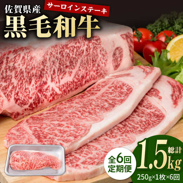 【6回定期便】佐賀県産 黒毛和牛 贅沢 ロース ステーキ 250g×1枚【株式会社いろは精肉店】お肉 肉 牛肉 冷凍 和牛 [IAG085]