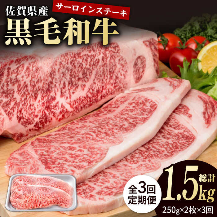 【3回定期便】佐賀県産 黒毛和牛 贅沢 ロース ステーキ 250g×2枚（計500g）【株式会社いろは精肉店】お肉 肉 牛肉 冷凍 和牛 [IAG087]