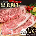 【ふるさと納税】【3回定期便】佐賀県産 黒毛和牛 贅沢 ロース ステーキ 250g×2枚（計500g）【株式会社いろは精肉店】お肉 肉 牛肉 冷凍 和牛 [IAG087]