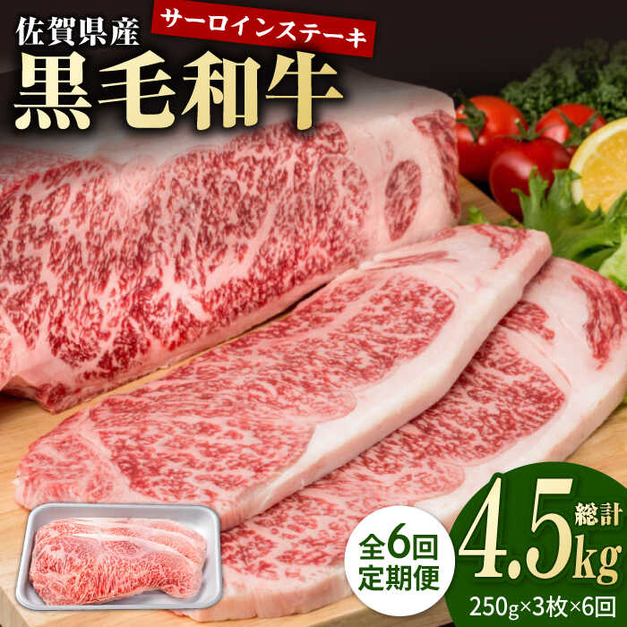 【6回定期便】佐賀県産 黒毛和牛 贅沢 ロース ステーキ 250g×3枚（計750g）【株式会社いろは精肉店】お肉 肉 牛肉 冷凍 和牛 [IAG091]