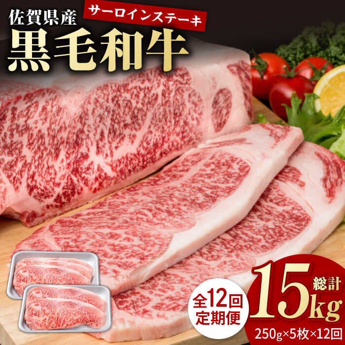 【12回定期便】佐賀県産 黒毛和牛 贅沢 ロース ステーキ 250g×5枚（計1250g）【株式会社いろは精肉店】お肉 肉 牛肉 冷凍 和牛 [IAG095]