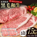 【ふるさと納税】【3回定期便】佐賀県産 黒毛和牛 贅沢 ロース ステーキ 250g×10枚（計2.5kg）【株式会社いろは精肉店】お肉 肉 牛肉 冷凍 和牛 [IAG096]