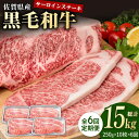 【ふるさと納税】【6回定期便】佐賀県産 黒毛和牛 贅沢 ロース ステーキ 250g×10枚（計2.5kg）【株式会社いろは精肉店】お肉 肉 牛肉 冷凍 和牛 [IAG097]