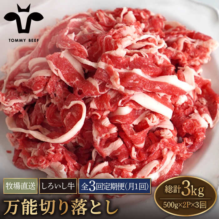 [牧場直送][3回定期便]佐賀県産しろいし牛 万能切落し 1kg(500g×2パック)[有限会社佐賀セントラル牧場]お肉 肉 牛肉 冷凍 切り落とし 