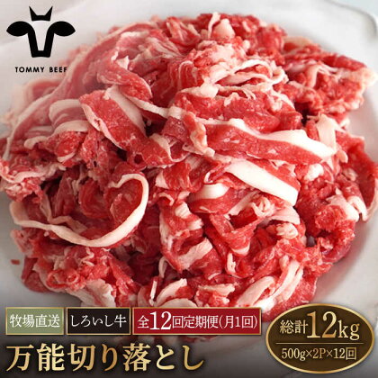 【牧場直送】【12回定期便】佐賀県産しろいし牛 万能切落し 1kg（500g×2パック） 【有限会社佐賀セントラル牧場】お肉 肉 牛肉 冷凍 切り落とし [IAH135]