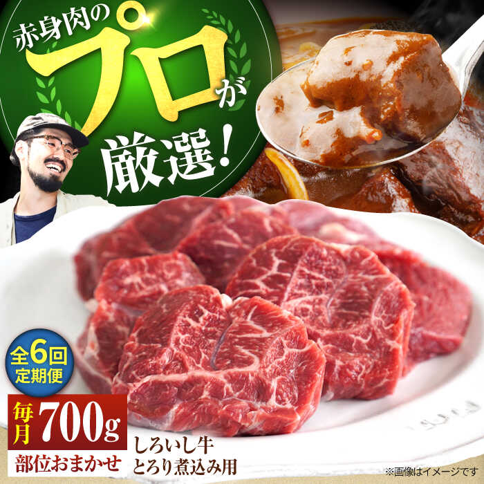 【ふるさと納税】【牧場直送】【6回定期便】佐賀県産しろいし牛 とろり煮込み用 700g【有限会社佐賀セントラル牧場】お肉 肉 牛肉 冷凍 カレー シチュー すね [IAH140]