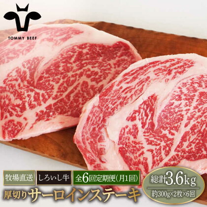 【牧場直送】【6回定期便】佐賀県産しろいし牛 厚切り サーロインステーキ 600g（300g×2枚）【有限会社佐賀セントラル牧場】お肉 肉 牛肉 冷凍 ステーキ リブロース [IAH152]