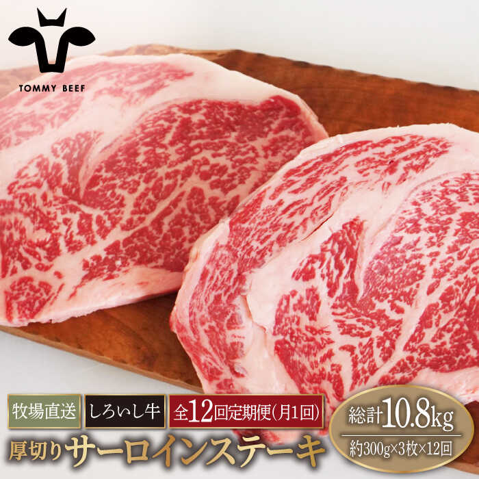 【ふるさと納税】【牧場直送】【12回定期便】佐賀県産しろいし牛 厚切りサーロインステーキ 900g（約300g×3枚）【有限会社佐賀セントラル牧場】お肉 肉 牛肉 冷凍 ステーキ リブロース [IAH156]