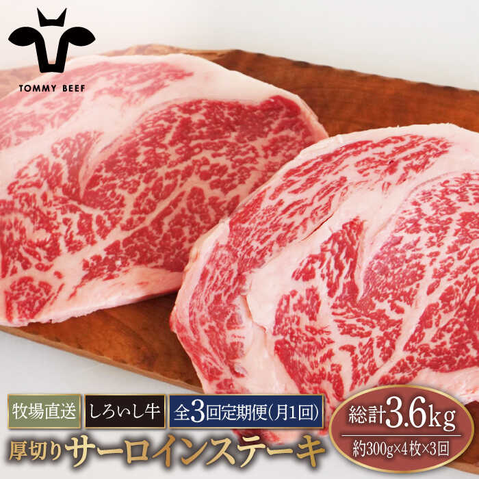 【ふるさと納税】【牧場直送】【3回定期便】佐賀県産しろいし牛 厚切りサーロインステーキ 1.2kg（約300g×4枚）【有限会社佐賀セントラル牧場】お肉 肉 牛肉 冷凍 ステーキ リブロース [IAH157]