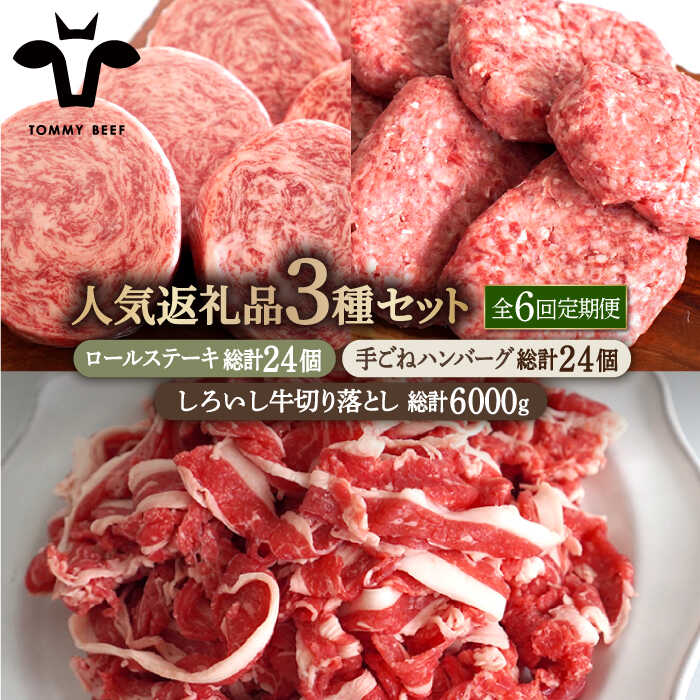 【牧場直送】【6回定期便】人気返礼品詰め合わせ！牛肉100%ふんわりロールステーキ 4個＆手ごねハンバーグ 4個＆しろいし牛 切り落とし 1000g【有限会社佐賀セントラル牧場】切落し 詰め合わせ 食べ比べ セット 牛肉 肉 お肉 [IAH186]