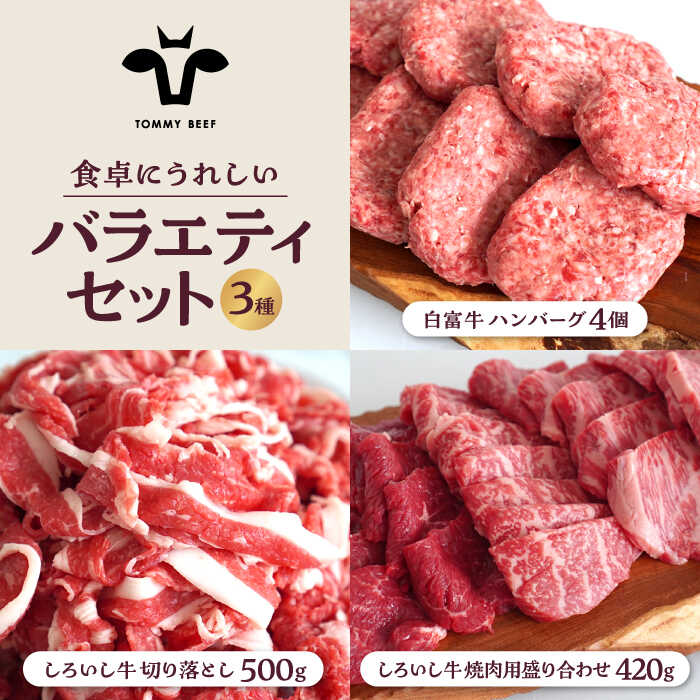 [牧場直送]食卓にうれしいバラエティ セット(手ごねハンバーグ 4個&切り落とし 500g&焼肉用 420g)[有限会社佐賀セントラル牧場] お肉 肉 牛肉 冷凍 焼肉 切落し 