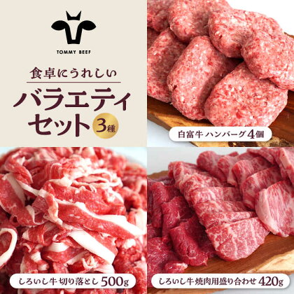 【牧場直送】食卓にうれしいバラエティ セット（手ごねハンバーグ 4個＆切り落とし 500g＆焼肉用 420g）【有限会社佐賀セントラル牧場】 お肉 肉 牛肉 冷凍 焼肉 切落し [IAH191]