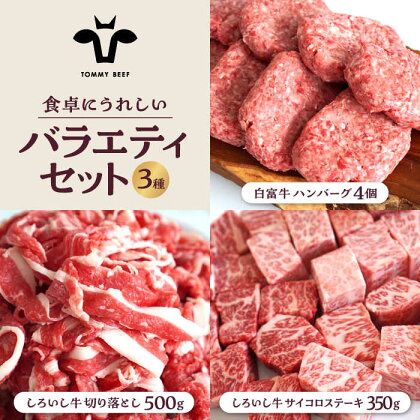 【牧場直送】食卓にうれしいバラエティ セット（手ごねハンバーグ 4個＆切り落とし 500g＆サイコロステーキ 350g）【有限会社佐賀セントラル牧場】 [IAH192]