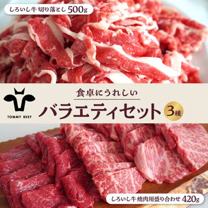 【牧場直送】しろいし牛 食卓にうれしいバラエティ セット（切り落とし 500g＆焼肉用 420g）【有限会社佐賀セントラル牧場】 [IAH194]