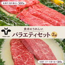 【ふるさと納税】【牧場直送】佐賀県産和牛 食卓にうれしいバラエティ セット （切り落とし 500g＆ステーキ食べ比べ 300g）【有限会社佐賀セントラル牧場】 [IAH203]