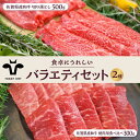 【ふるさと納税】【牧場直送】佐賀県産和牛 食卓にうれしいバラエティ セット（切り落とし 500g＆焼肉用食べ比べ 300g）【有限会社佐賀セントラル牧場】 [IAH204]