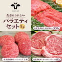 佐賀県産和牛 食卓にうれしいバラエティ セット（切り落とし 500g＆ハンバーグ4個＆サーロインステーキ 400g） 