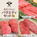 【ふるさと納税】【牧場直送】佐賀県産和牛 食卓にうれしいバラエティ セット（切り落とし 500g＆ハンバーグ 4個＆ステーキ食べ比べ 300g）【有限会社佐賀セントラル牧場】 [IAH207]