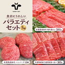 【ふるさと納税】【牧場直送】佐賀県産和牛 食卓にうれしいバラエティ セット（切り落とし 500g＆ハンバーグ 4個＆焼肉用食べ比べ 300g）【有限会社佐賀セントラル牧場】 [IAH208]