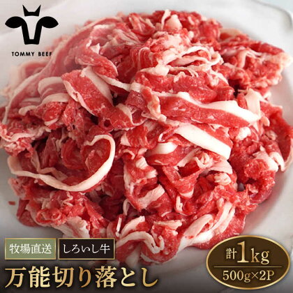 【牧場直送】佐賀県産しろいし牛 万能切落し 1kg（500g×2パック） 【有限会社佐賀セントラル牧場】肉 お肉 牛肉 切り落とし 1kg 冷凍 [IAH005]