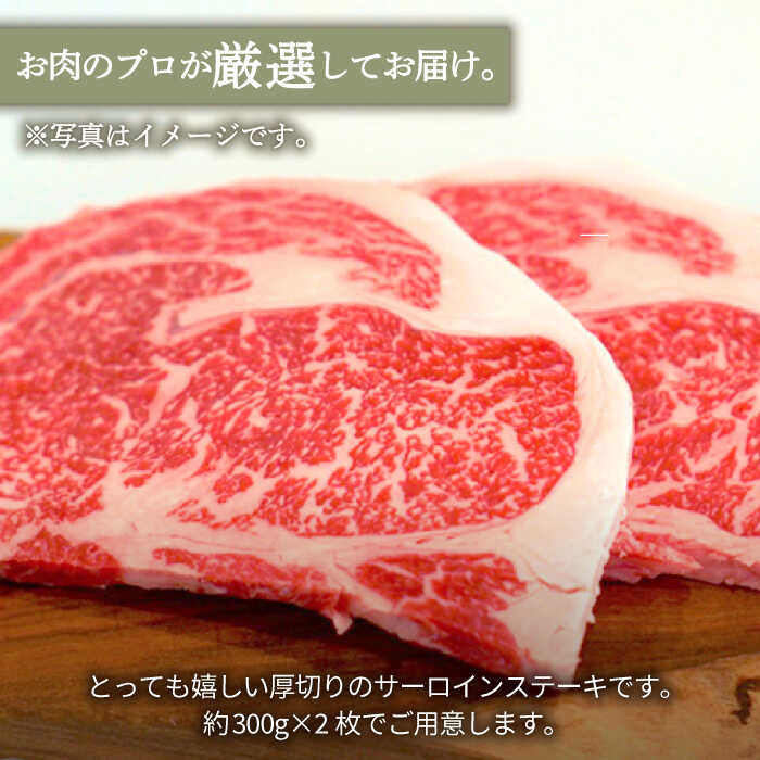 【ふるさと納税】【牧場直送】佐賀県産しろいし牛 厚切りサーロインステーキ 600g（約300g×2枚）【有限会社佐賀セントラル牧場】肉 お肉 牛肉 サーロイン リブロース 霜降り 冷凍 [IAH037]