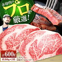 【ふるさと納税】【牧場直送】佐賀県産しろいし牛 厚切りサーロインステーキ 600g（約300g×2枚）【有限会社佐賀セントラル牧場】肉 お肉 牛肉 サーロイン リブロース 霜降り 冷凍 [IAH037]