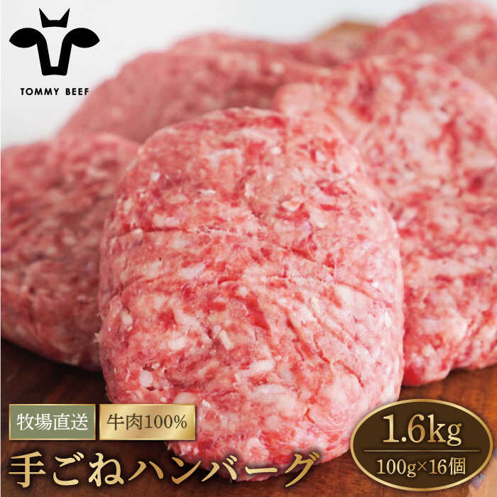 【牧場直送】岩塩と牛肉のみで作った手ごねハンバーグ 100g×16個【有限会社佐賀セントラル牧場】 [IAH043]