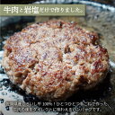 【ふるさと納税】【牧場直送】佐賀県産しろいし牛 ボリュームたっぷり手ごねハンバーグ 120g×10個【有限会社佐賀セントラル牧場】 [IAH044] 2