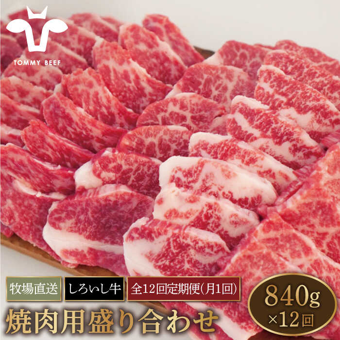 【牧場直送】【12回定期便】佐賀県産しろいし牛 焼肉用盛り合わせセット（希少部位）各回840g【有限会社佐賀セントラル牧場】モモ カタ 肩 バラ 肉 お肉 牛肉 焼き肉 BBQ 冷凍 [IAH048]