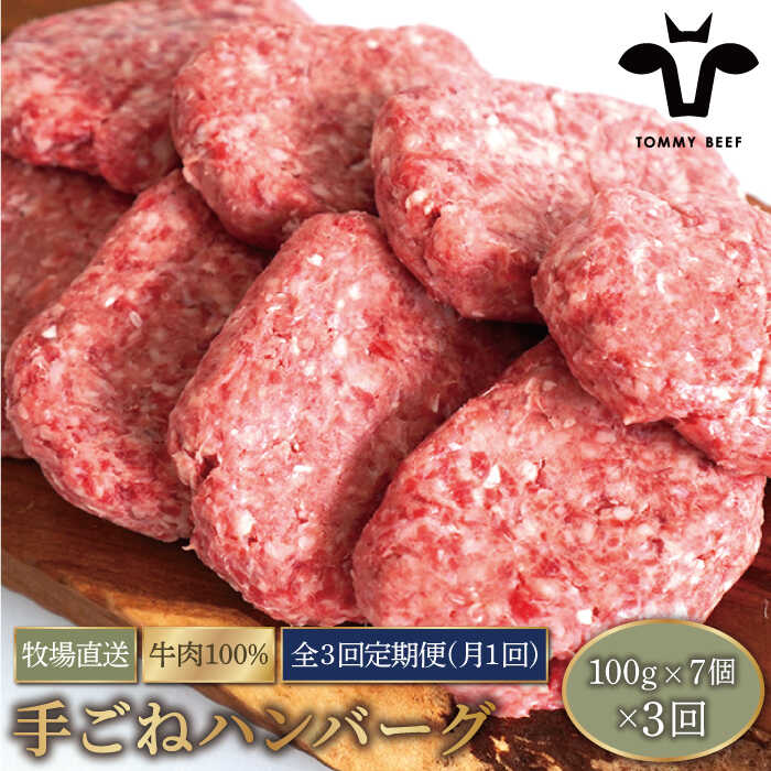 [牧場直送][3回定期便]岩塩と牛肉のみで作った手ごねハンバーグ 100g×7個[有限会社佐賀セントラル牧場]牛肉 ハンバーグ 個包装 無添加 惣菜 おかず 冷凍