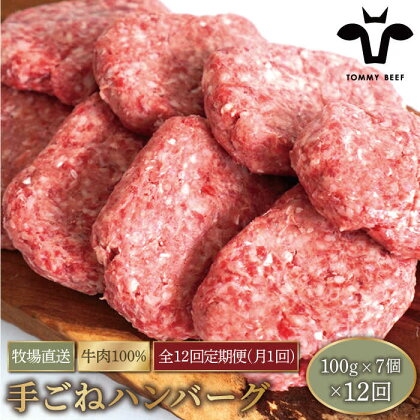 【牧場直送】【12回定期便】岩塩と牛肉のみで作った手ごねハンバーグ 100g×7個【有限会社佐賀セントラル牧場】牛肉 ハンバーグ 個包装 無添加 惣菜 おかず 冷凍 [IAH056]