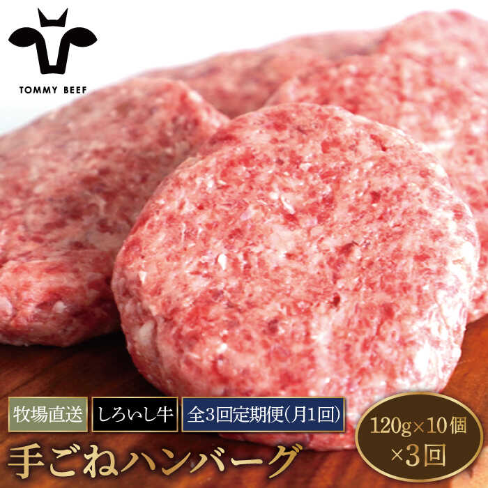 [牧場直送][3回定期便]佐賀県産しろいし牛 ボリュームたっぷり手ごねハンバーグ 120g×10個[有限会社佐賀セントラル牧場]牛肉 ハンバーグ 個包装 無添加 惣菜 おかず 冷凍 