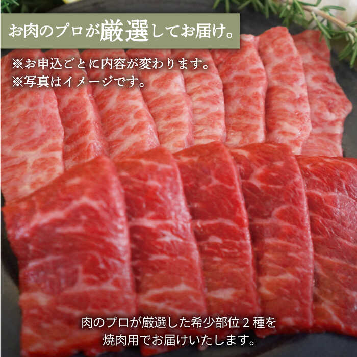 佐賀県白石町の画像2