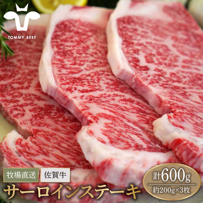 【ふるさと納税】【牧場直送】佐賀県産和牛 サーロインステーキ 600g（約200g×3枚）【有限会社佐賀セントラル牧場】黒毛和牛 肉 お肉 牛肉 サーロイン リブロース 霜降り 冷凍 IAH071