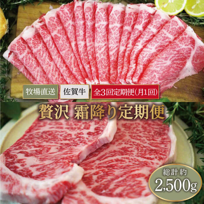 42位! 口コミ数「0件」評価「0」【牧場直送】【3回定期便】佐賀県産和牛 贅沢 霜降り 定期便【有限会社セントラル牧場】黒毛和牛 肉 お肉 ステーキ 焼肉 BBQすき焼き し･･･ 