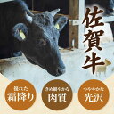 【ふるさと納税】【牧場直送】【6回定期便】佐賀県産和牛 贅沢 1頭まるごと定期便 シルバーコース【有限会社セントラル牧場】黒毛和牛 肉 お肉 ステーキ 焼肉 BBQ 切り落とし ハンバーグ 冷凍 [IAH089] 3