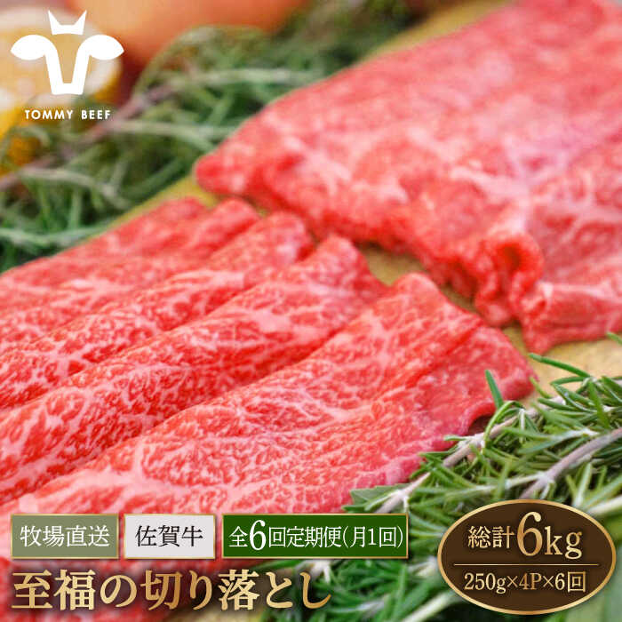 【牧場直送】【6回定期便】佐賀県産和牛 至福の切り落とし 1000g（250g×4パック）【有限会社佐賀セントラル牧場】 黒毛和牛 肉 お肉 牛肉 切落し 1kg 冷凍[IAH095]