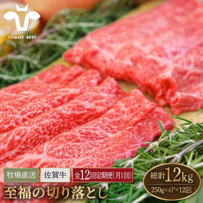 【牧場直送】【12回定期便】佐賀県産和牛 至福の切り落とし 1000g（250g×4パック）【有限会社佐賀セントラル牧場】黒毛和牛 肉 お肉 牛肉 切落し 1kg 冷凍 [IAH096]