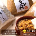 【ふるさと納税】【身体にやさしい発酵食品 】てんぺ味噌 800g 2袋 米こうじセット 500g 1袋 乾燥 健康食品 無塩 国産 佐賀県産【しろいし特産物直売所】[IAI001]