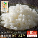 人気ランキング第10位「佐賀県白石町」口コミ数「4件」評価「5」令和5年産米 白石産さがびより 10kg（5kg×2袋）お米 こめ コメ 佐賀県産【佐賀県農業協同組合】[IAK004]