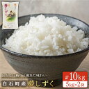 令和5年産米 白石産夢しずく 10kg（5kg×2袋） お米 こめ コメ 佐賀県産 