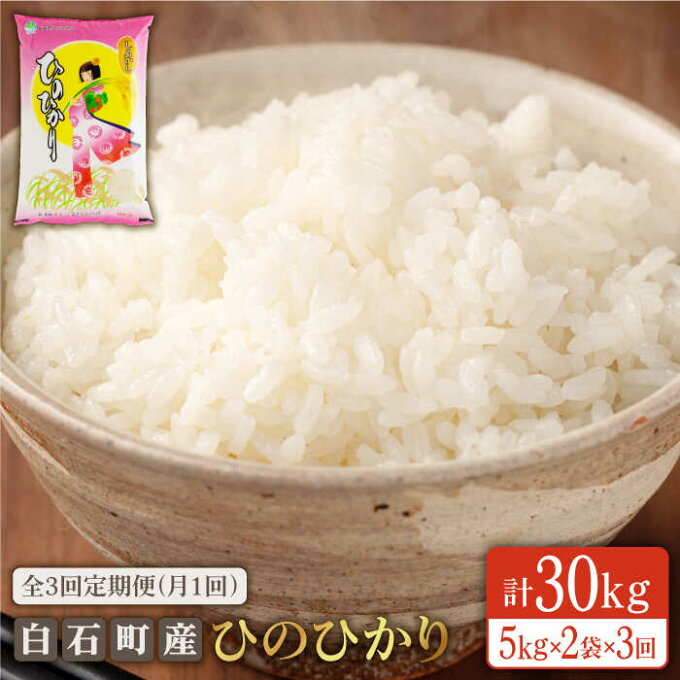 【ふるさと納税】【3回定期便】白石産ひのひかり 各回10kg(5kg×2袋) お米 ...